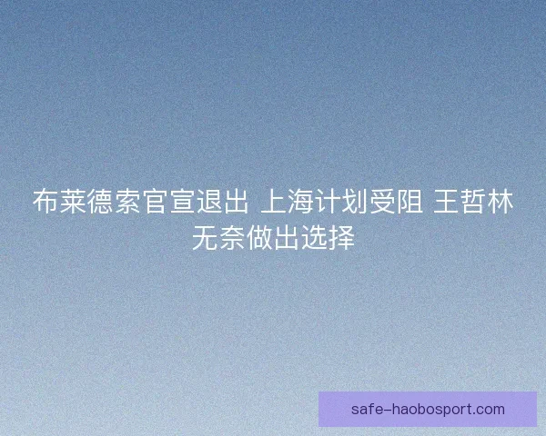 布莱德索官宣退出 上海计划受阻 王哲林无奈做出选择